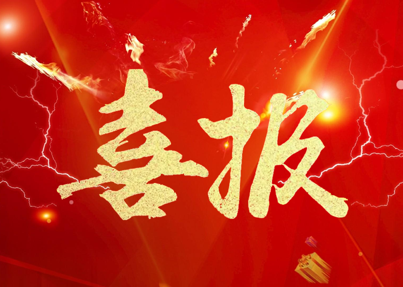 喜报 | BB贝博显示荣膺LED显示屏行业2019年知名品牌